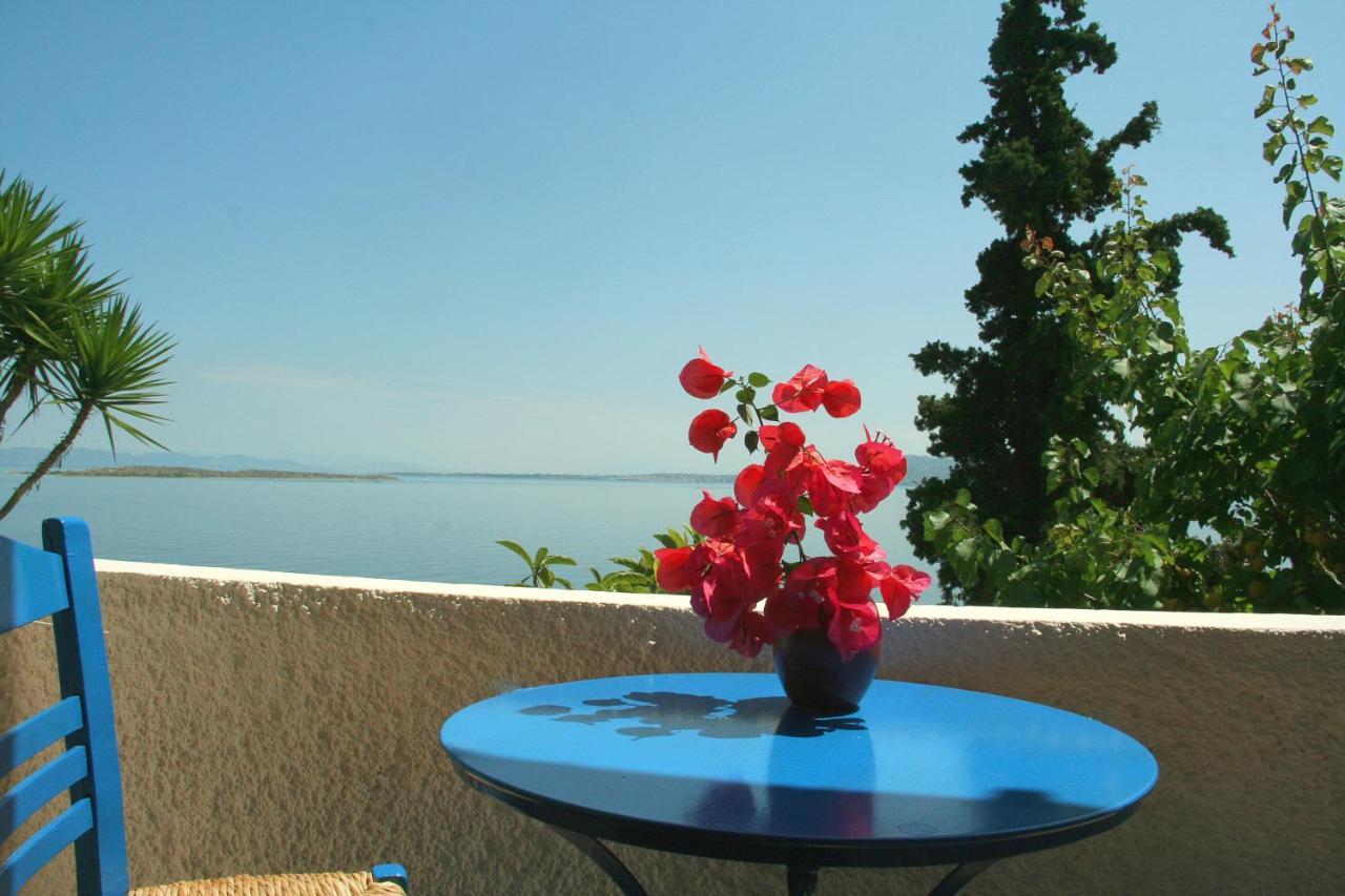 Hotel Alkyoni Skála Zewnętrze zdjęcie